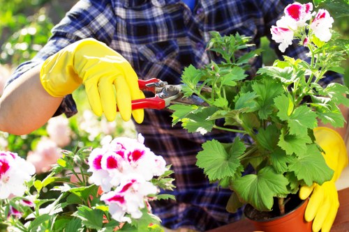 Healthy green lawn care in Bedford Park with fresh mowing lines