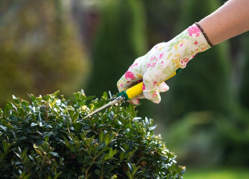 Gardeners Bedford Park following safe working practices