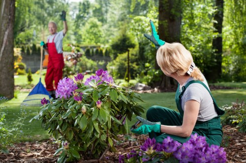 Garden maintenance service in Bedford Park with tidy lawn and borders