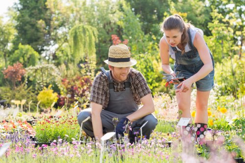 Team of Bedford Park gardeners working on an elegant residential outdoor space