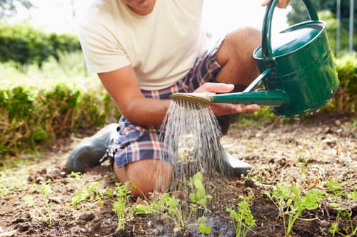 Hardscaping and lawn improvements in a Bedford Park property