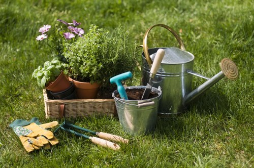 Seasonal lawn care service in Bedford Park improving turf health