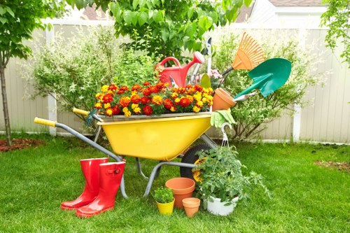 Tree maintenance and stump grinding services in Bedford Park