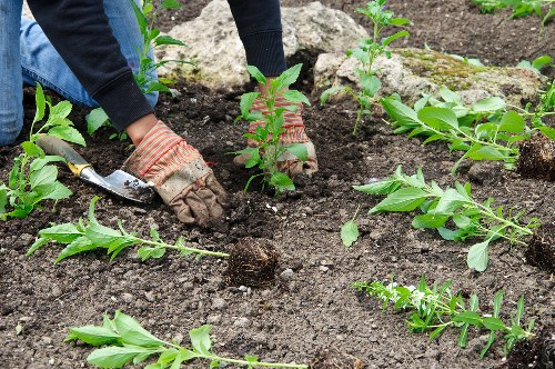 Gardeners Bedford Park complaints procedure introduction with a clear and professional service focus
