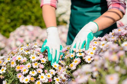 Clear and simple Bedford Park garden service quote