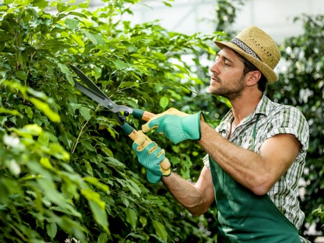 Seasonal planting and lawn care by Bedford Park gardeners