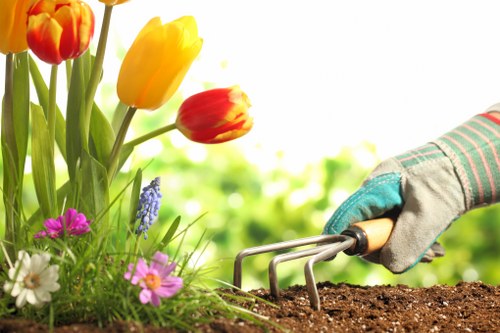 Professional garden clearance work in a Bedford Park outdoor space