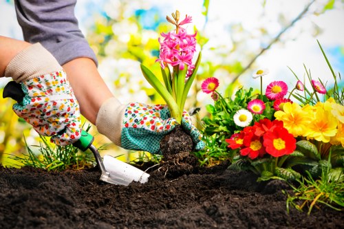 Low-carbon van used for eco-friendly gardening services