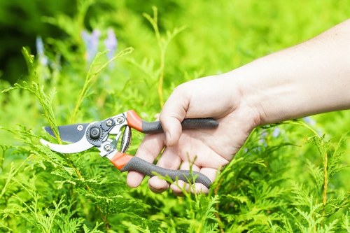 Sustainable garden planting and hard landscaping in Bedford Park