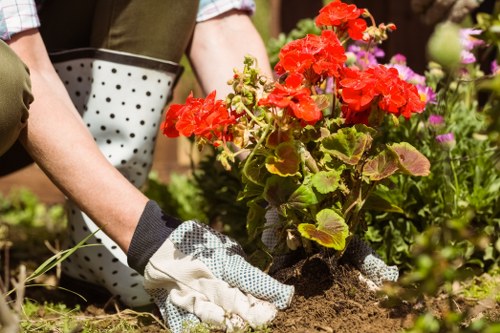 Gardeners Bedford Park creating a polished and balanced landscape