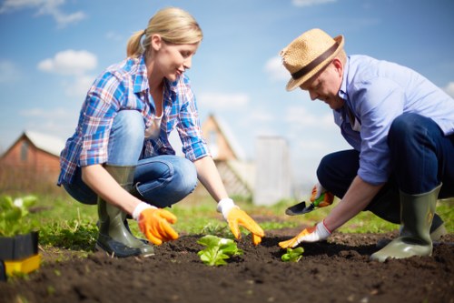 Risk assessment and PPE used during garden work