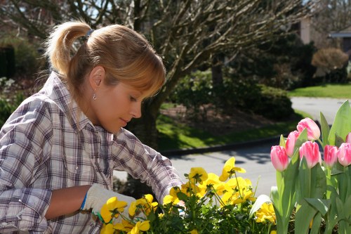 Careful garden work near pathways and outdoor features