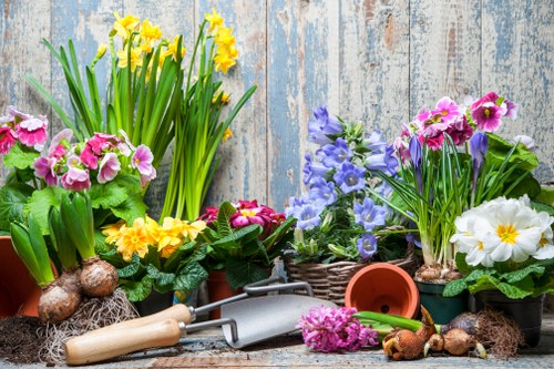 Image representing analytics cookies for Bedford Park gardening services