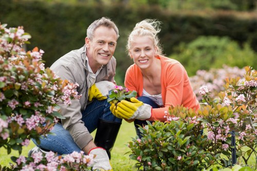 Bedford Park garden care with healthy planting and tidy borders