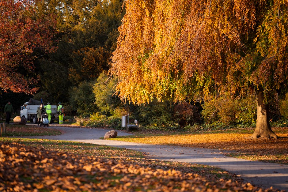 A landscaped park area in autumn featuring a large deciduous tree with vibrant orange and yellow leaves, whose branches extend over a paved pathway. The pathway is bordered by a grassy lawn covered wi