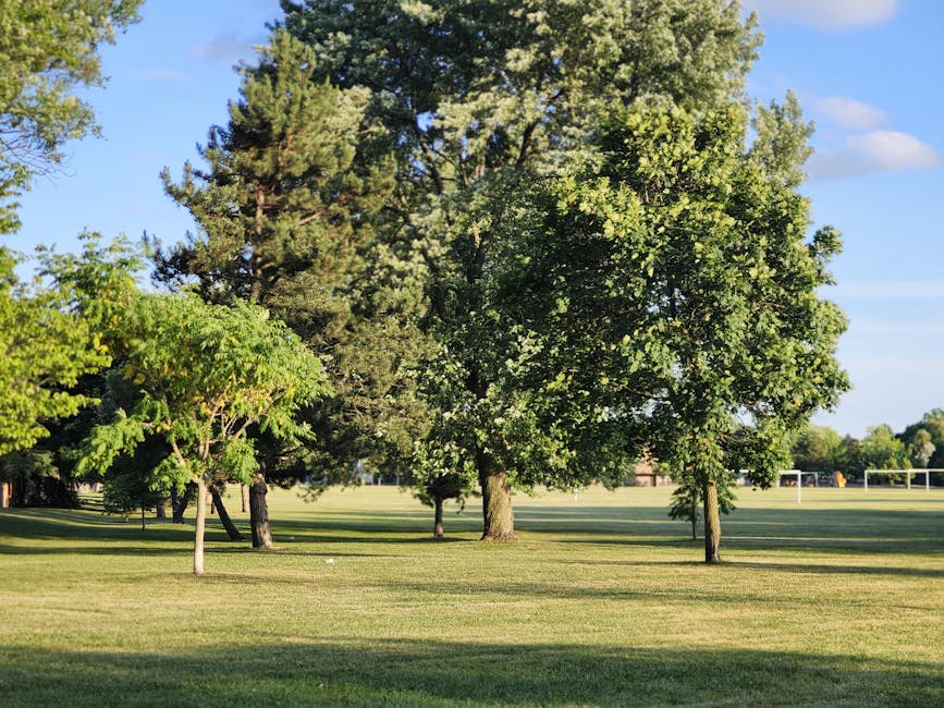 A landscaped park area in autumn featuring a large deciduous tree with vibrant orange and yellow leaves, whose branches extend over a paved pathway. The pathway is bordered by a grassy lawn covered wi
